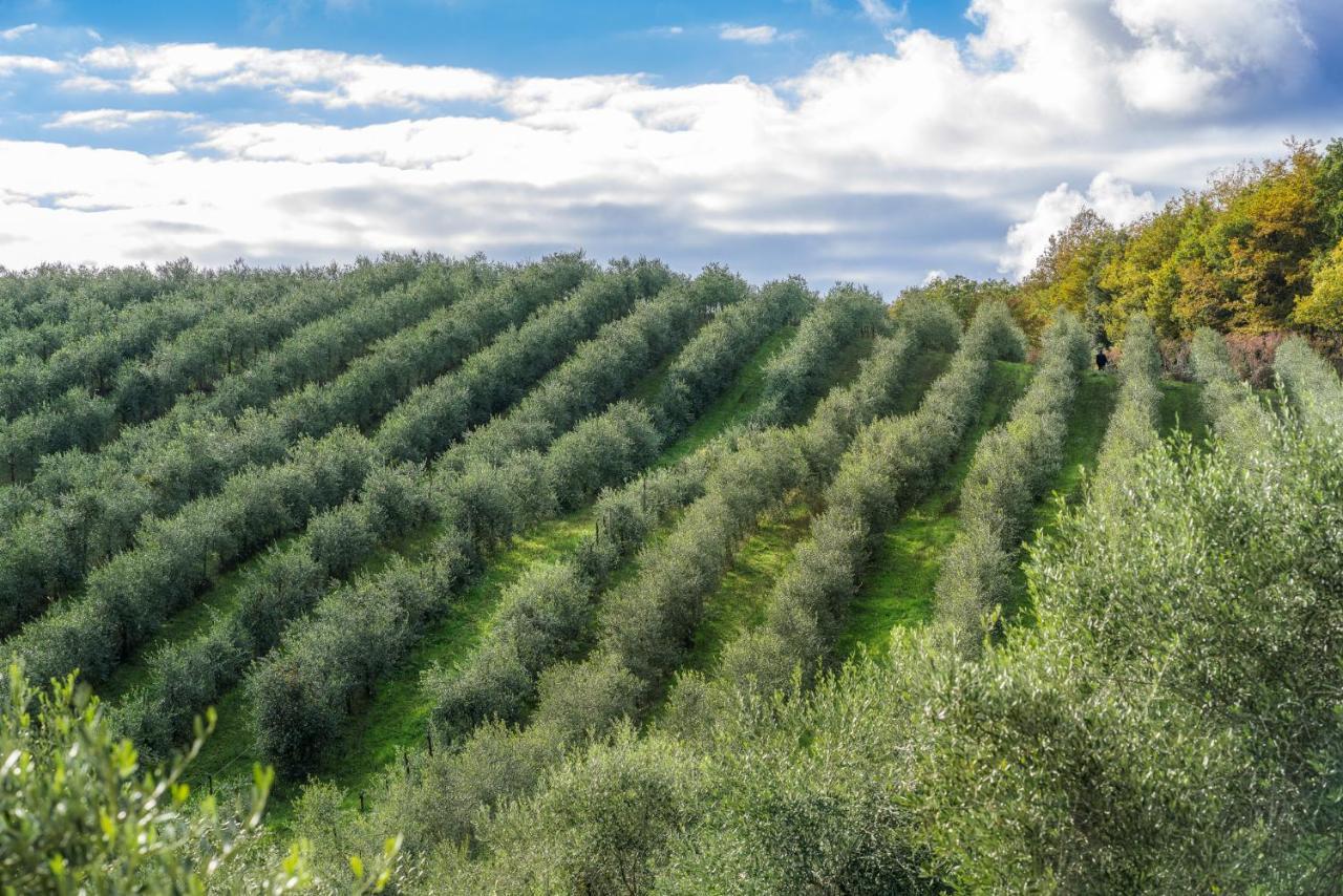 Country house Renello Petroio